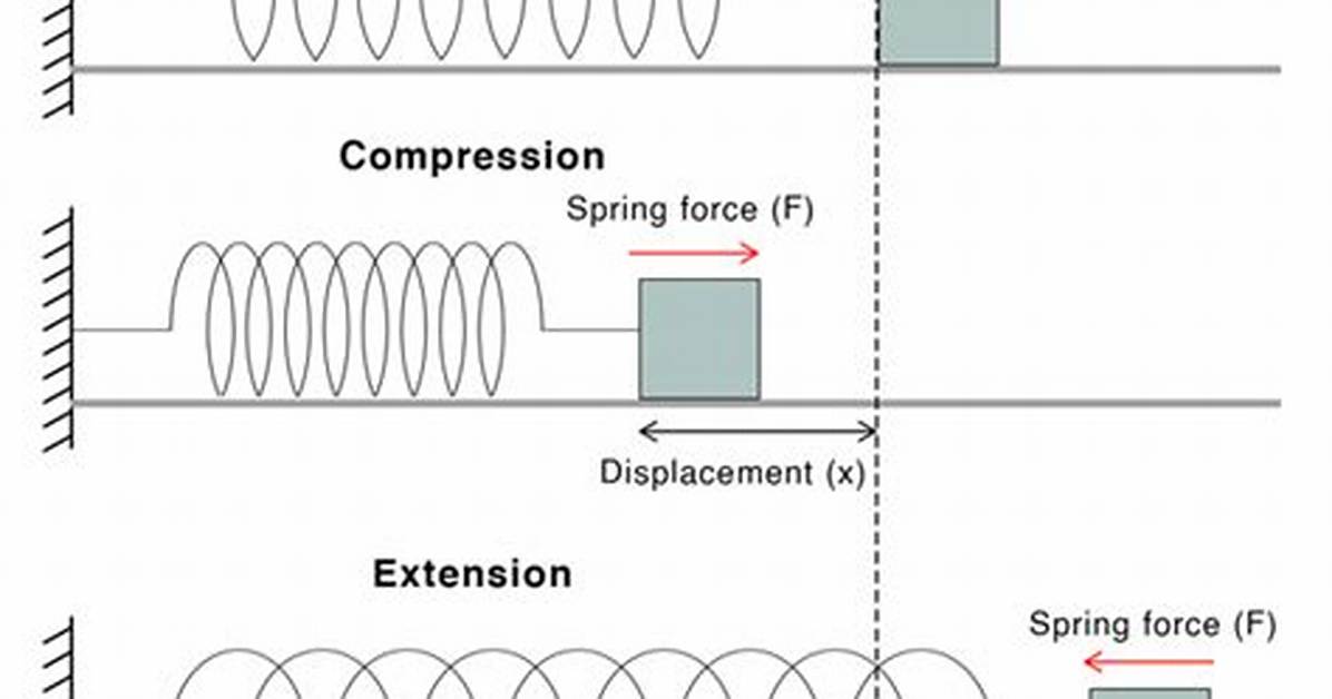 Why Is Spring Force Negative?