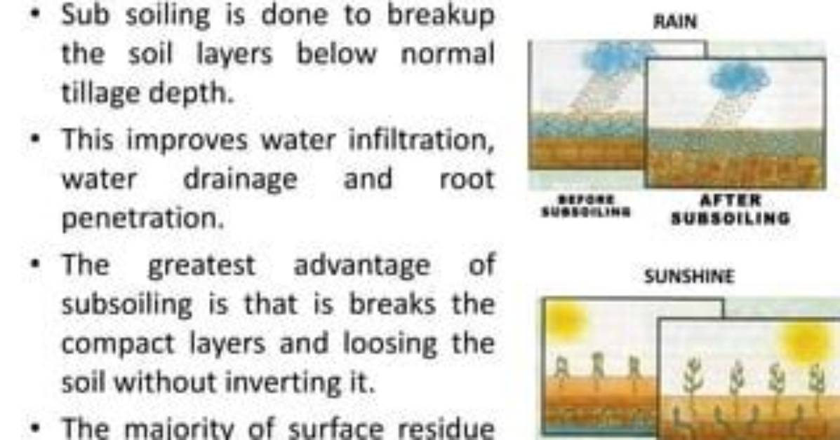 Why Is Subsoiling Needed?