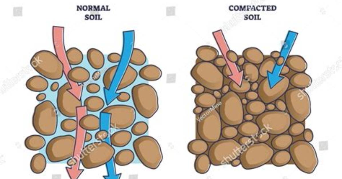 Why Is the Difference Between Compaction and Cementation?