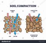 Why Is the Difference Between Compaction and Cementation?