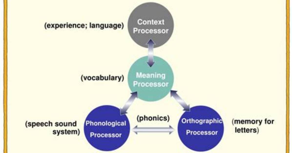 Why Is the Four Part Processing Model Useful?