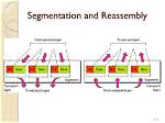 Why Is the Segmentation and Reassembly Function in Pgp Needed?