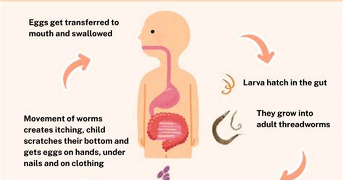 Why Is Threadworm Dangerous?