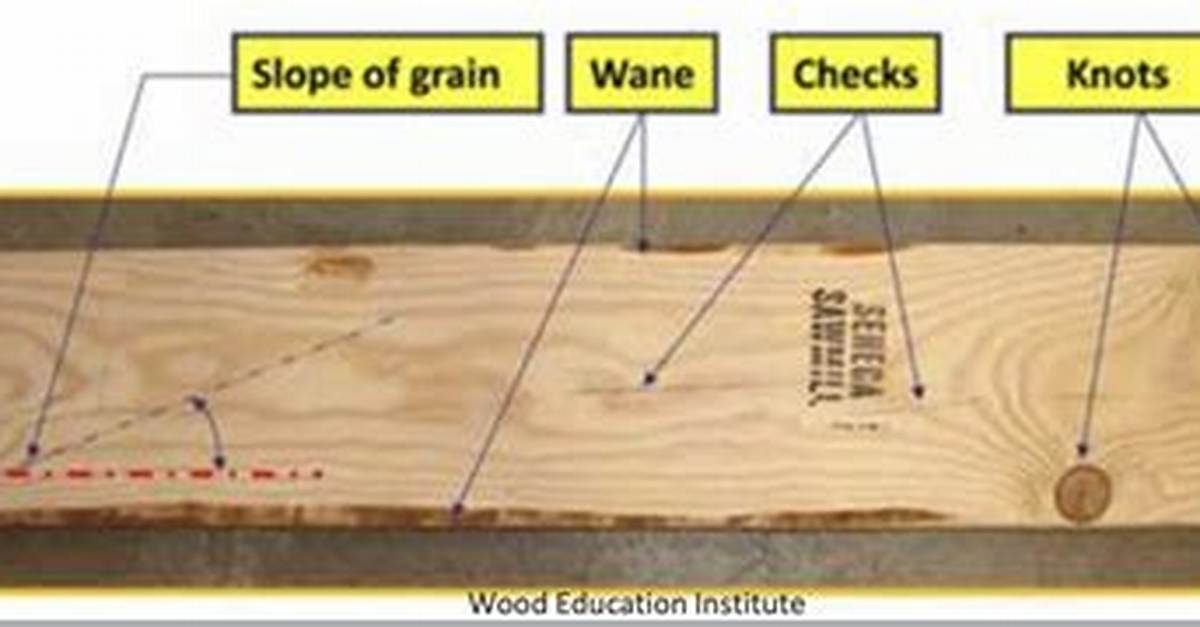 Why Is Timber Graded?