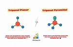 Why Is Trigonal Pyramidal?
