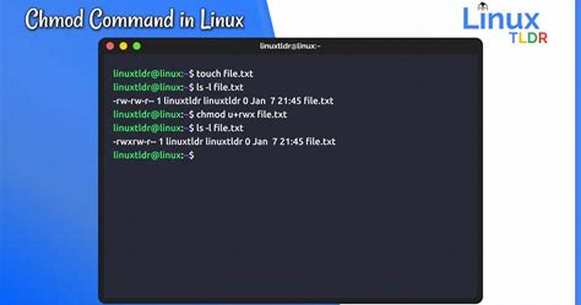 Why Isn't `Chmod` Command Functioning in Kali Linux 2020?