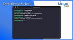 Why Isn't `Chmod` Command Functioning in Kali Linux 2020?