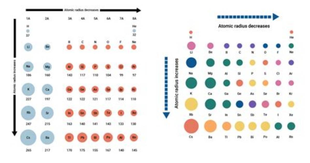 Why Largest Atomic Radius?