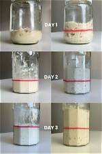 Why Make Yeast Starter?