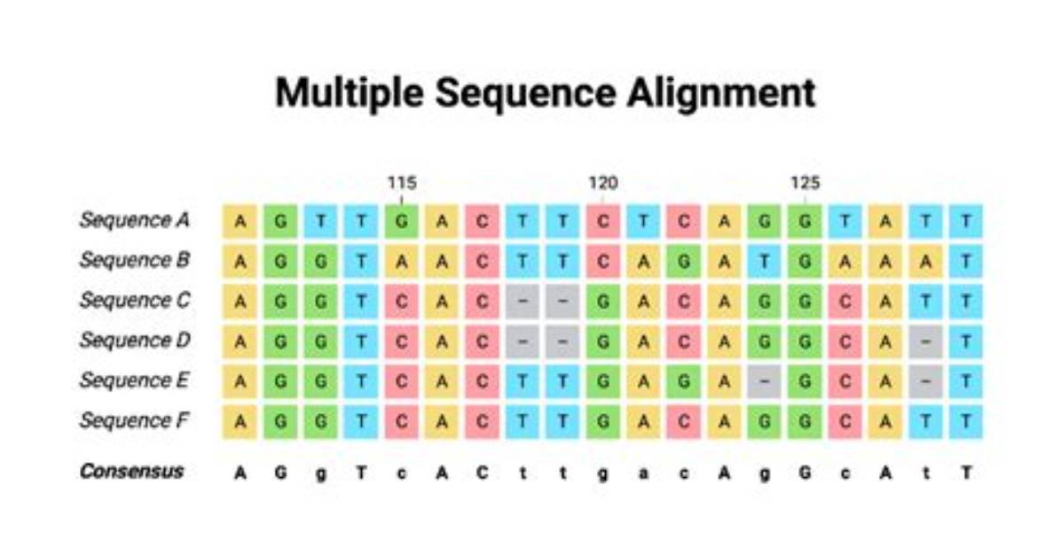 Why Multiple Sequence Alignment?