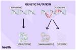 Why Mutation Is Important in Genetic Algorithm?