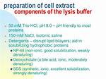 Why Nacl in Lysis Buffer?