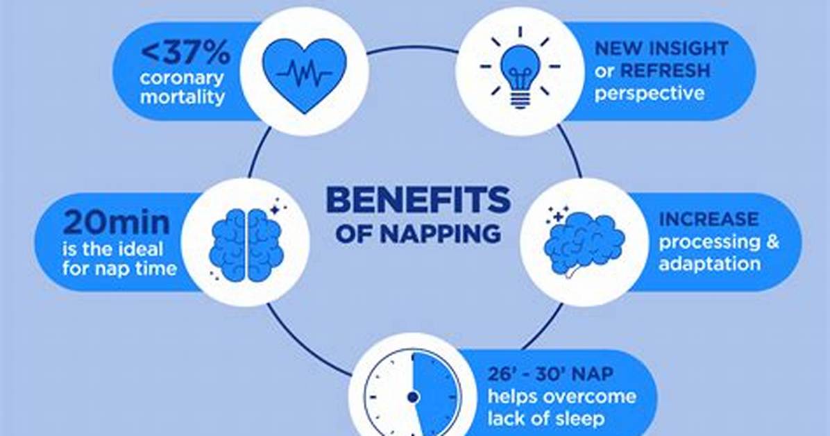 Why Napping Is Important?
