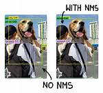 Why Nms Is Required?