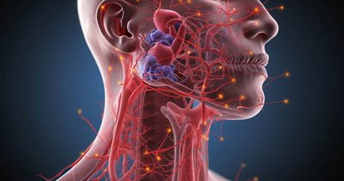 Why Node Under Jaw?