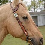 Why One Ear Headstall?