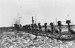 Why Operation Barbarossa Failed?
