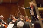 Why Orchestra Needs Conductor?