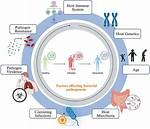 Why Pathogenesis Is Important?