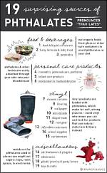 Why Phthalates Are Bad?