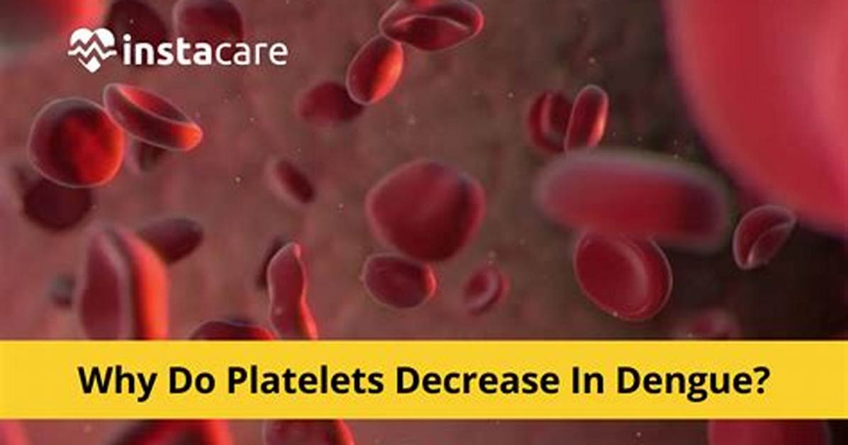 Why Platelets Decrease in Dengue?