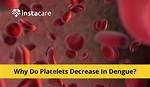 Why Platelets Decrease in Dengue?