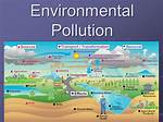 Why Pollution Affects the Environment?