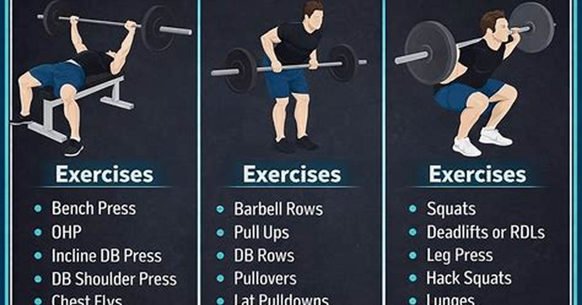 Why Push Pull Legs?