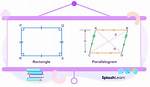 Why Rectangle Is a Parallelogram?