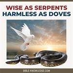 Why Serpent Is Wise?