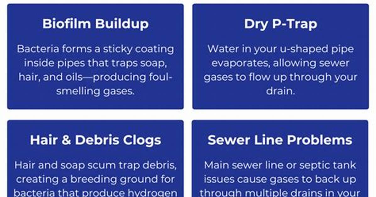 Why Shower Drain Smells?