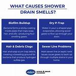 Why Shower Drain Smells?