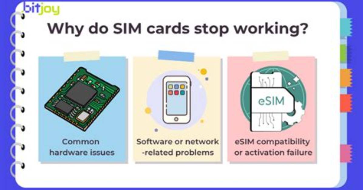 Why Sim Is Not Working?