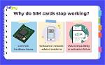 Why Sim Is Not Working?