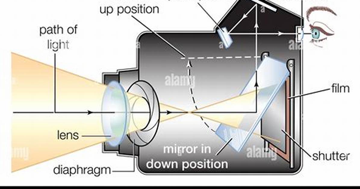 Why Single Lens Reflex?