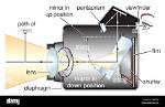 Why Single Lens Reflex?