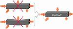 Why Solids Are Rigid?