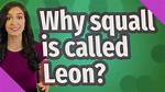 Why Squall Is Called Leon?