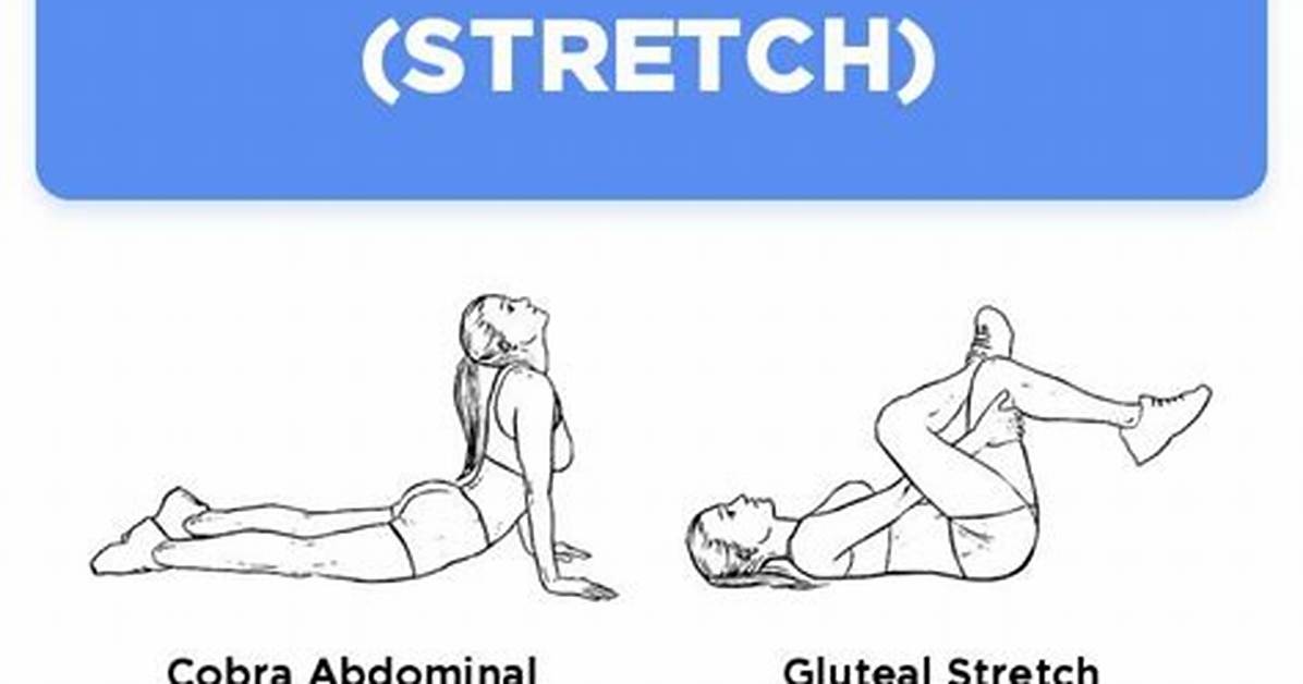 Why Stretch After Workout?