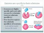 Why Substrates Are Specific?