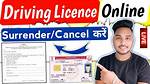 Why Surrender Driving Licence?