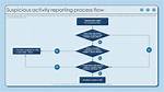 Why Suspicious Activity Reporting?