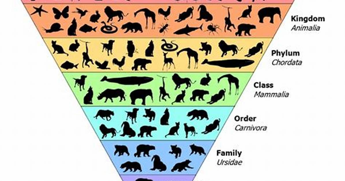 Why Taxonomy Proves Evolution?