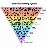 Why Taxonomy Proves Evolution?