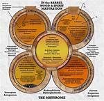 Why There Is Maturation?