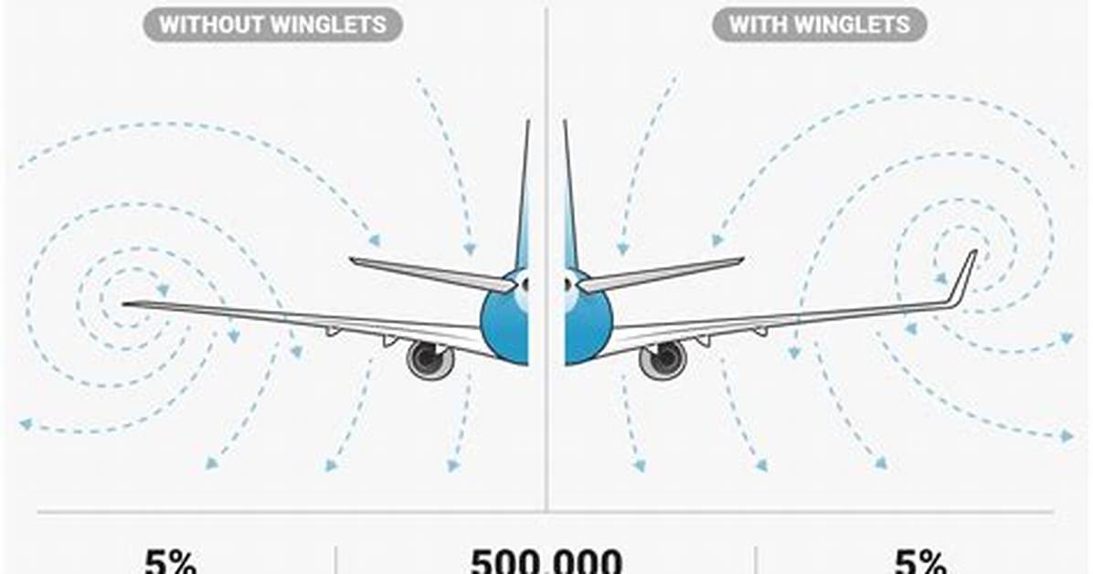 Why They Have Winglets?
