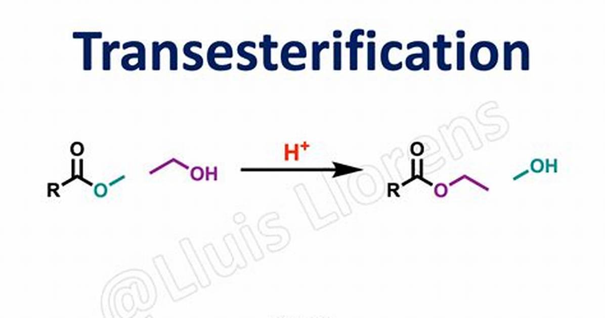 Why Transesterification Is Done?