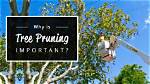 Why Tree Pruning Is Important?