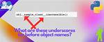 Why Underscore Before Function Name?