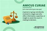 Why Use Amicus Curiae?